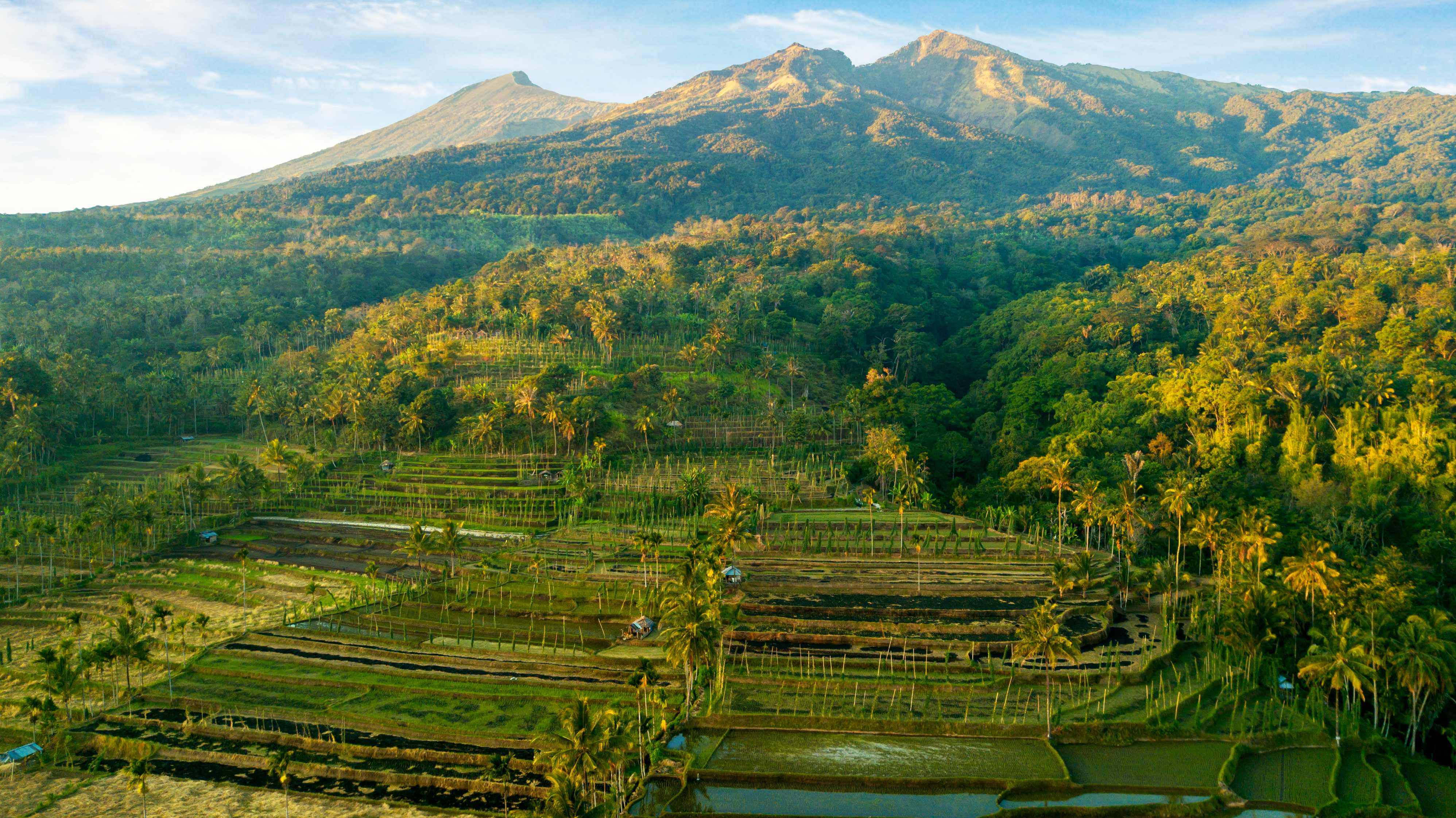Community Journeys and Scenic Trails: Bali & Lombok