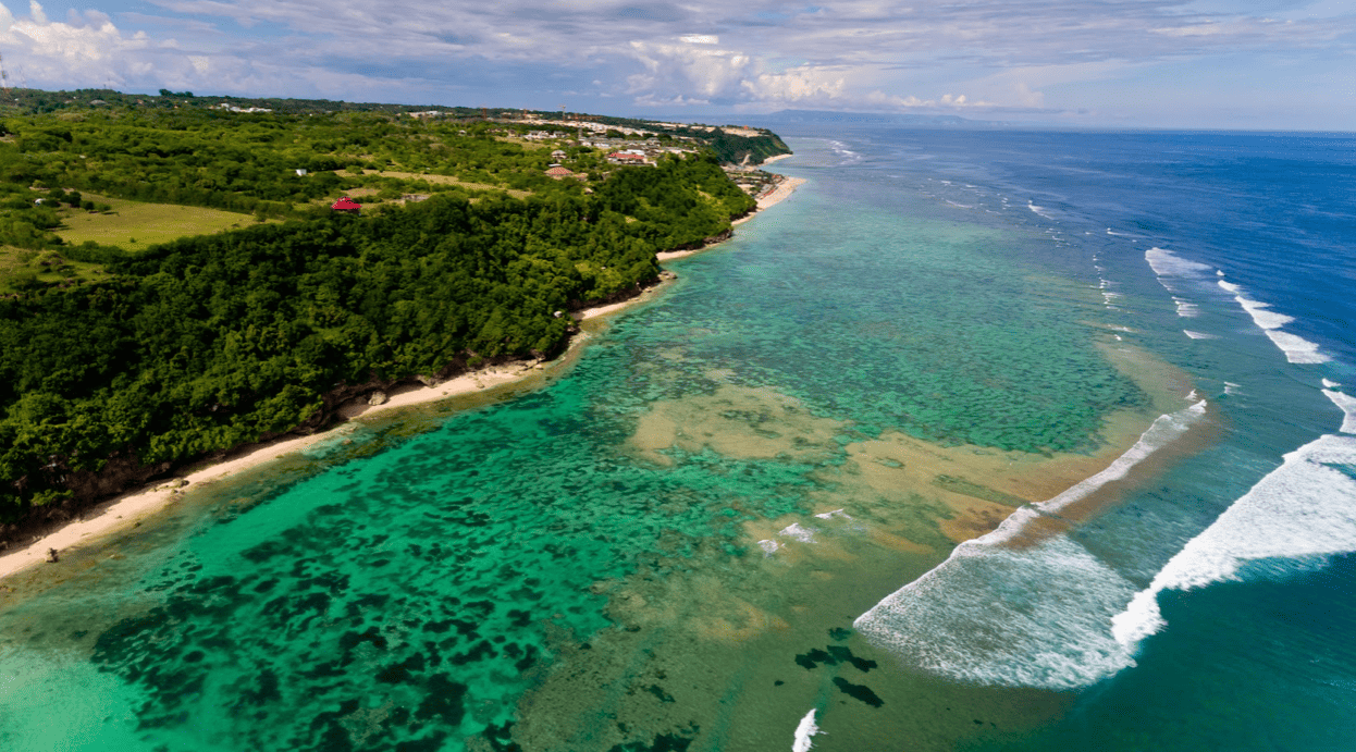 Flores & Komodo Uncovered